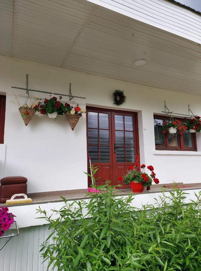 Casa Rodica Apartment Vatra Dornei Exterior foto